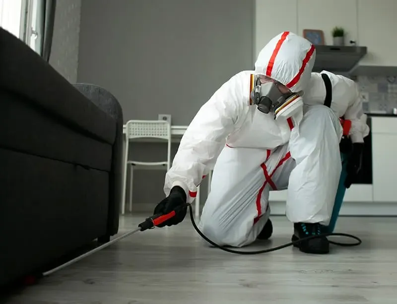A trained professional prepared for biohazard cleanup
