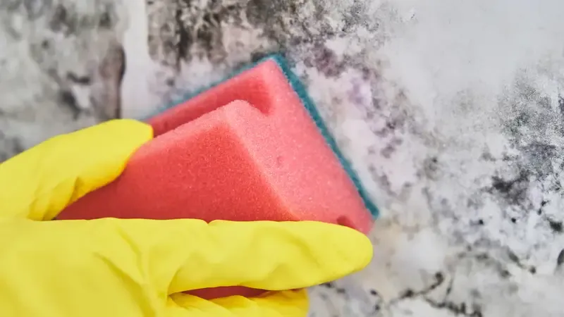 A professional cleaning team member working inside a property