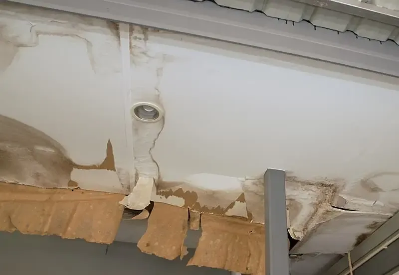 A staff member professionally cleaning after property damage
